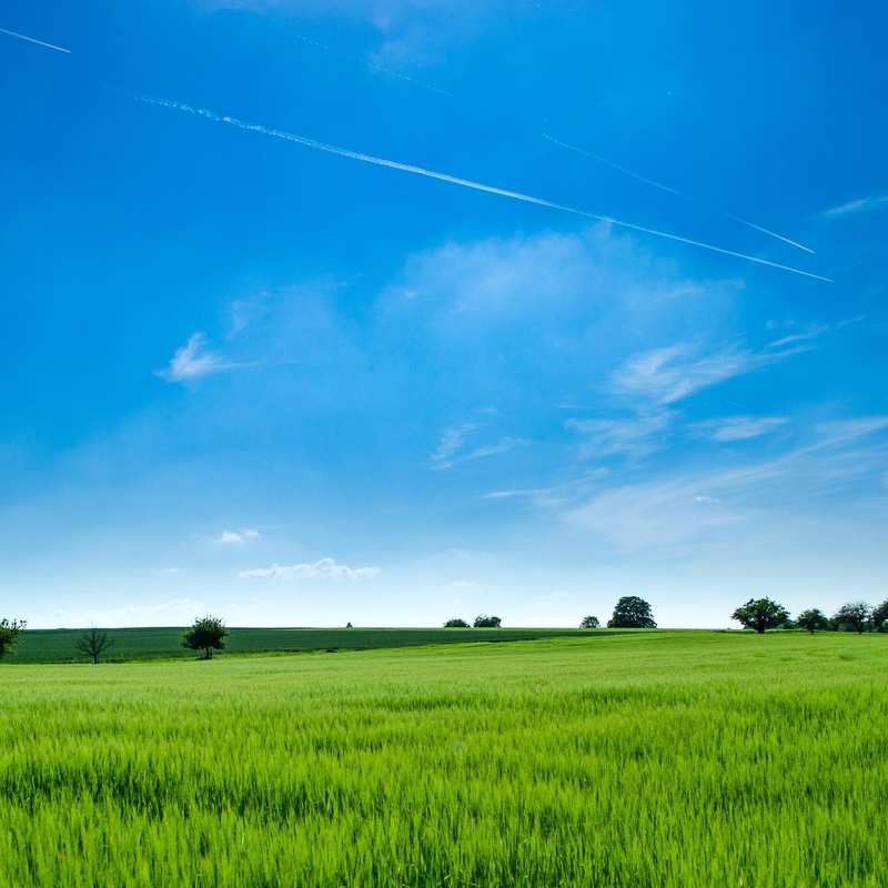 Eine Landschaft mit einem grünen Feld, Bäumen im Hintergrund und blauem Himmel.